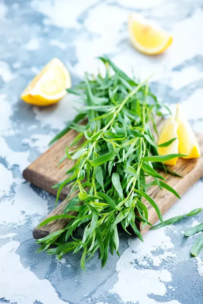 Estragão na culinária